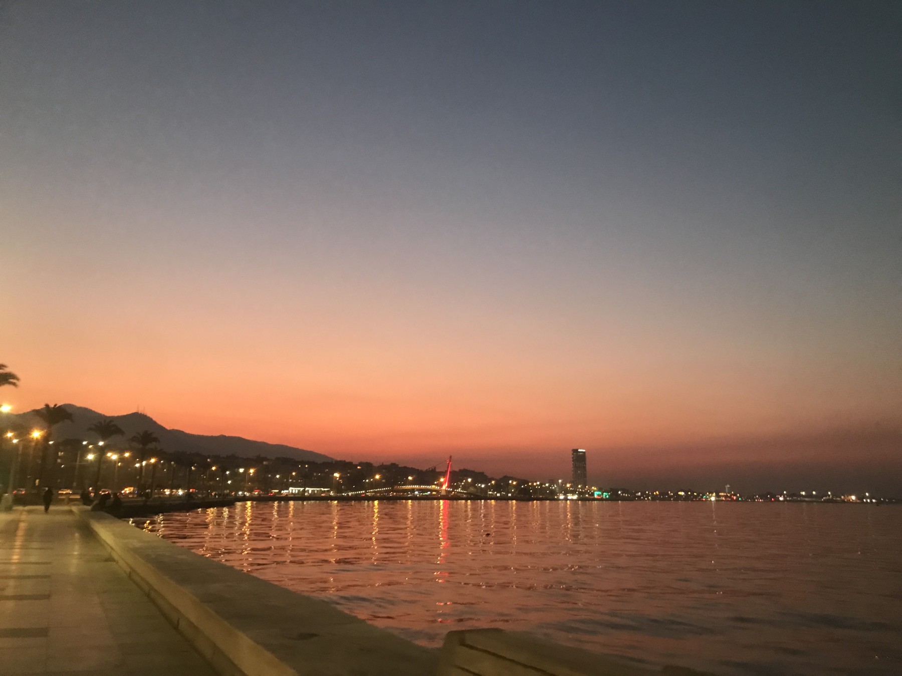 0luokyanus kapak fotoğrafı