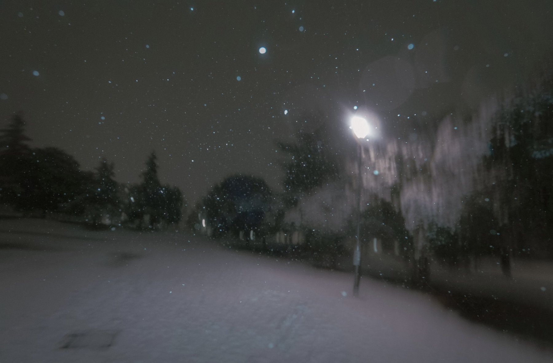 epifiz bezi kapak fotoğrafı