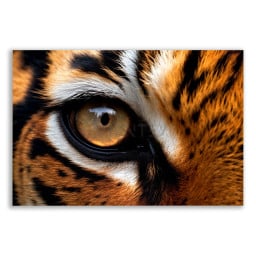 yazaryazar profil fotoğrafı