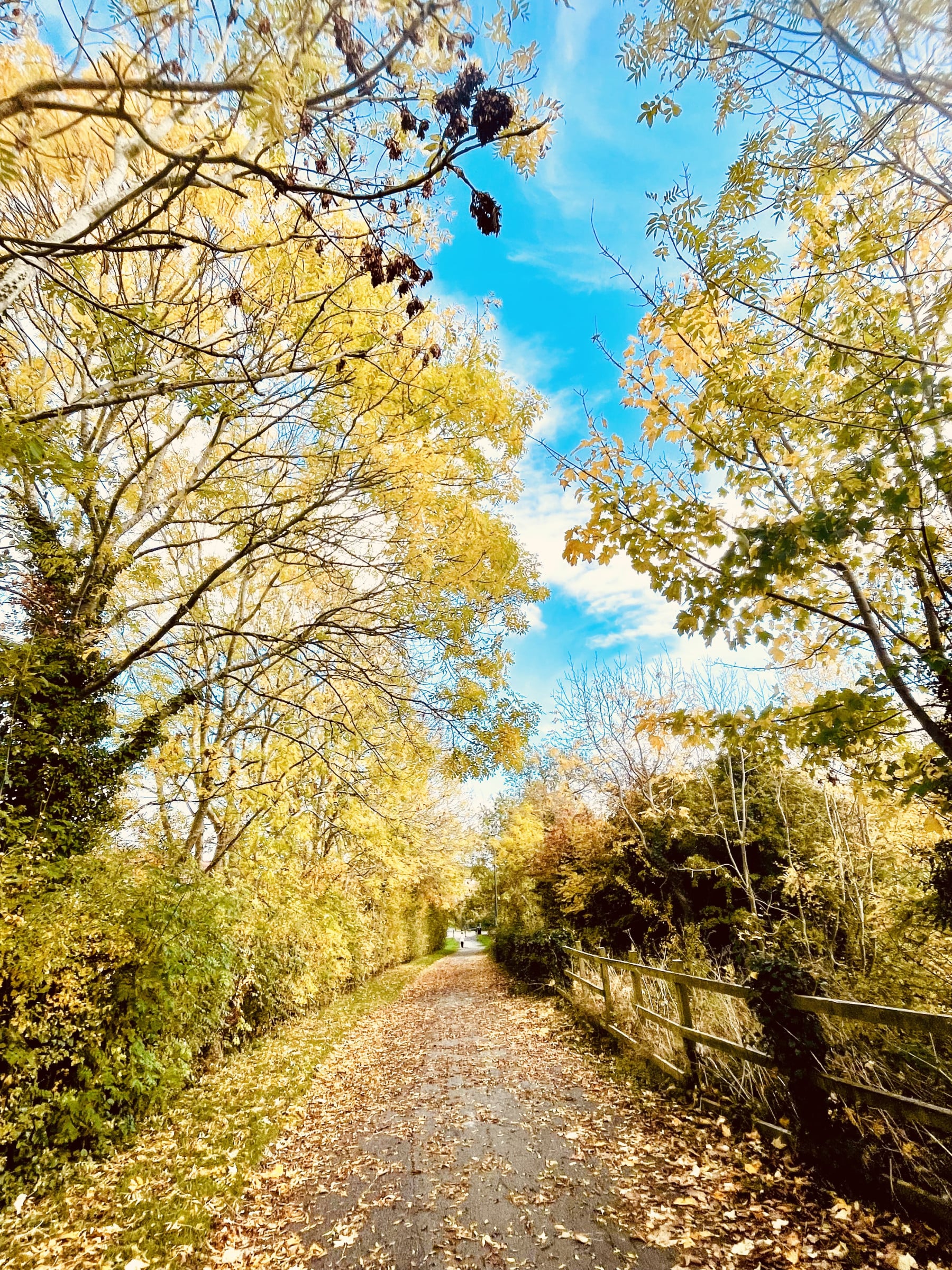 hayalperestin günlüğü kapak fotoğrafı