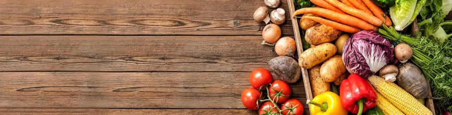 plant based kapak fotoğrafı