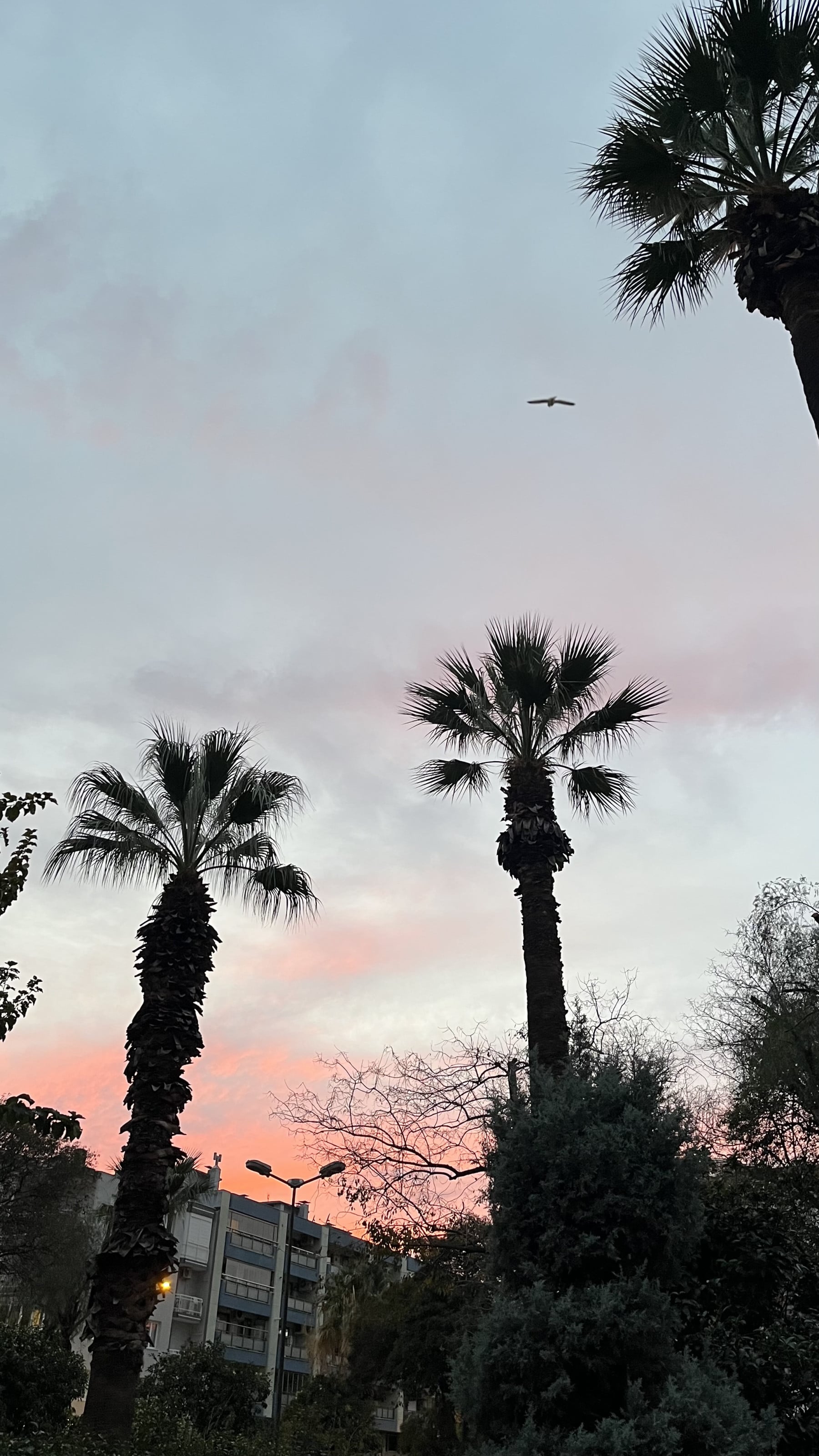 bendemistim kapak fotoğrafı