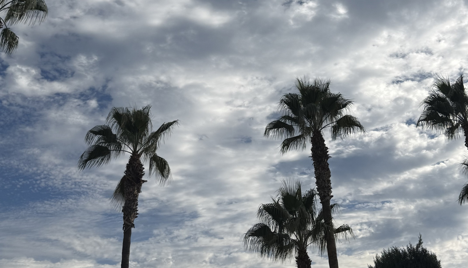 avkathanım kapak fotoğrafı