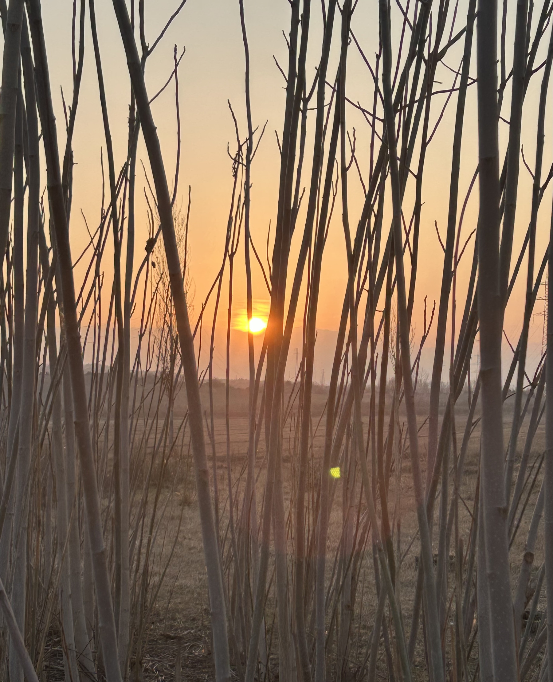 frein kapak fotoğrafı