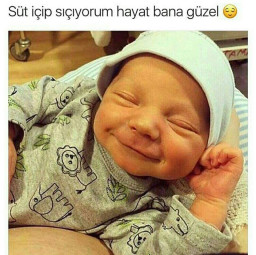 xposure profil fotoğrafı