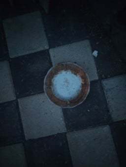 normalgozluk profil fotoğrafı