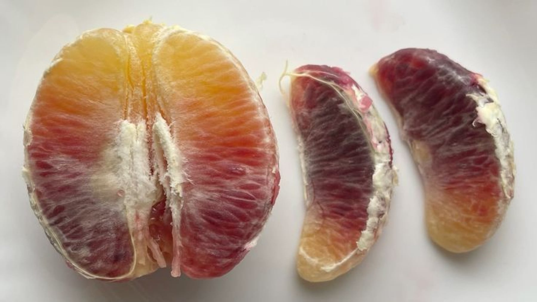 sora ni hana kapak fotoğrafı