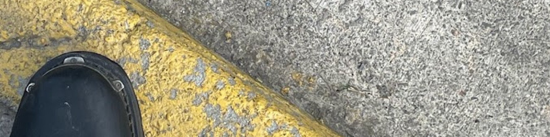seshayvani kapak fotoğrafı