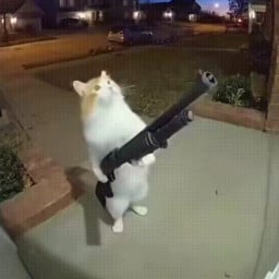 uçurumun kenarında derslere tutunan adam profil fotoğrafı