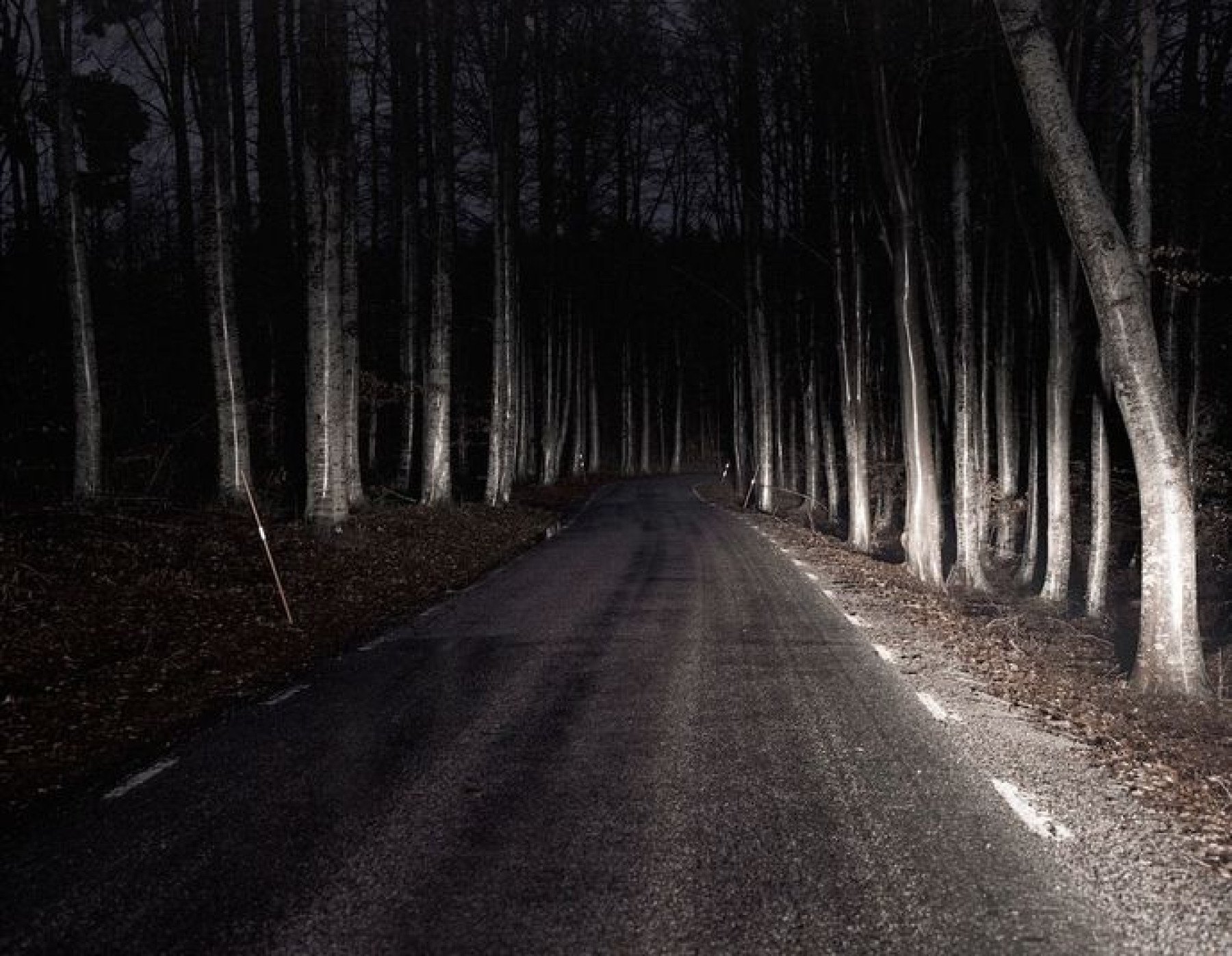 dark passenger kapak fotoğrafı