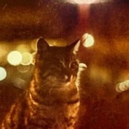 sabahlı ama selamsız profil fotoğrafı