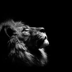 türkiye büyükşehir belediyesi profil fotoğrafı