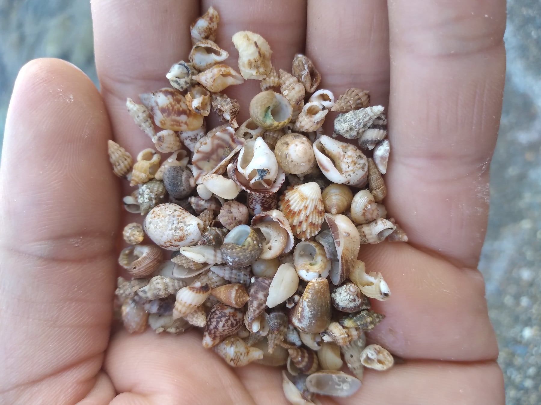 öfkeli kapak fotoğrafı