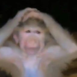 devotus atheus profil fotoğrafı