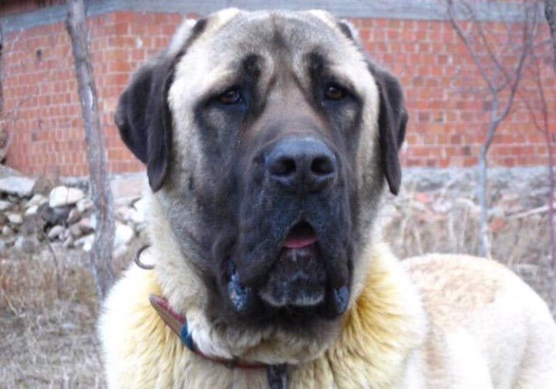 laudemcreatoris kapak fotoğrafı