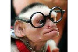 dürtmeye geldim profil fotoğrafı