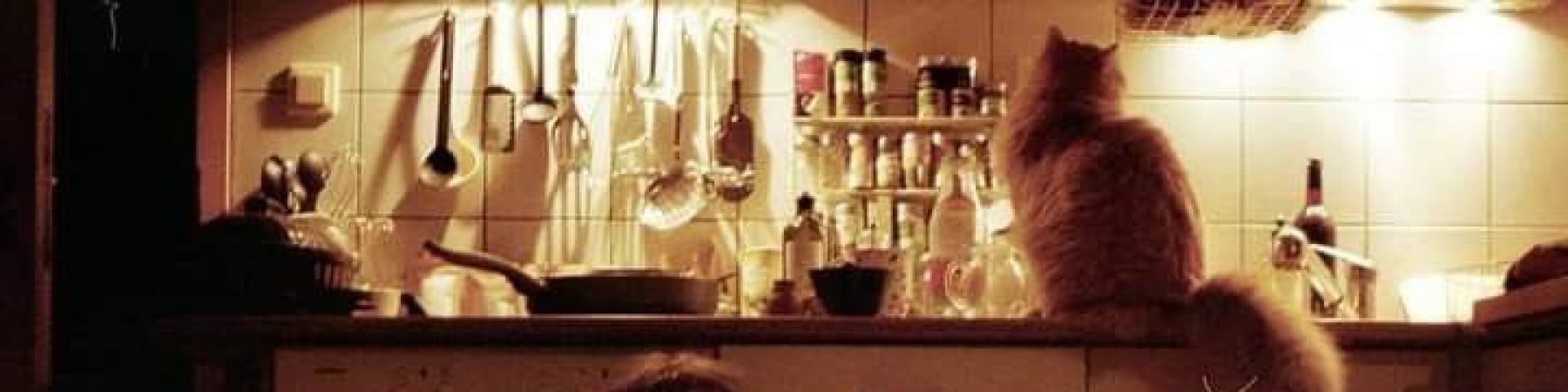 lakıs kapak fotoğrafı