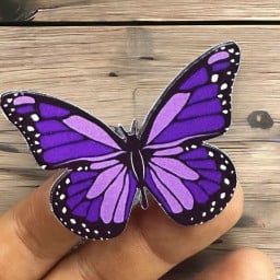 purple laydbug profil fotoğrafı