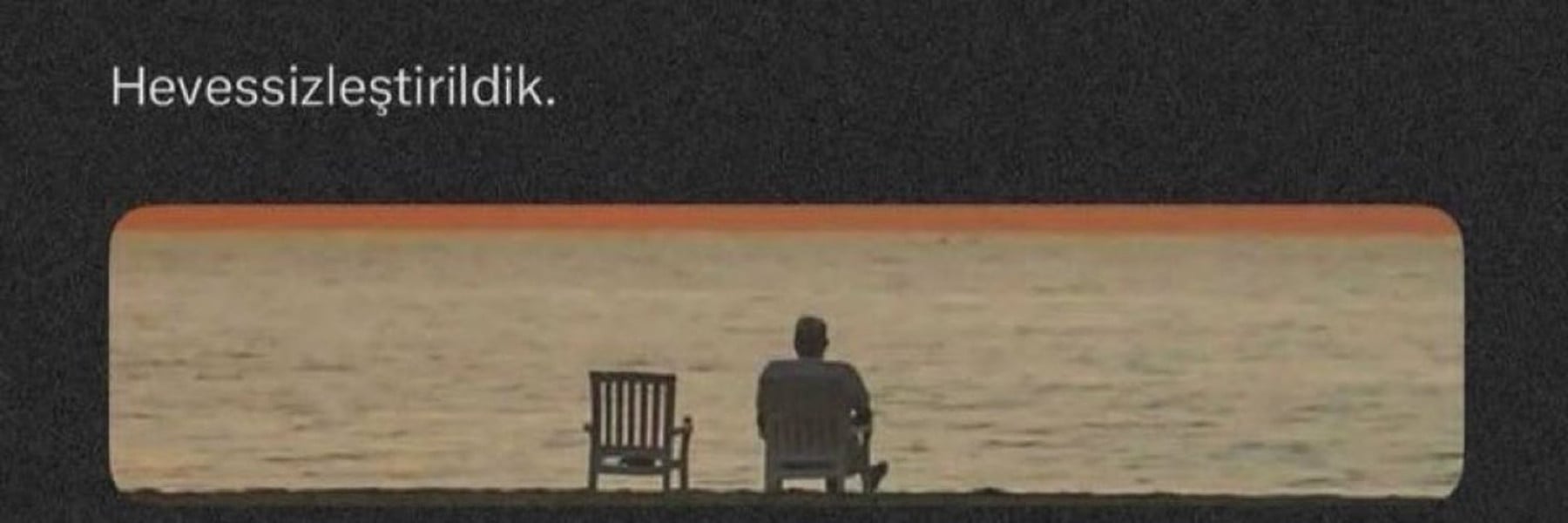 b0rnt0b3w1ld kapak fotoğrafı