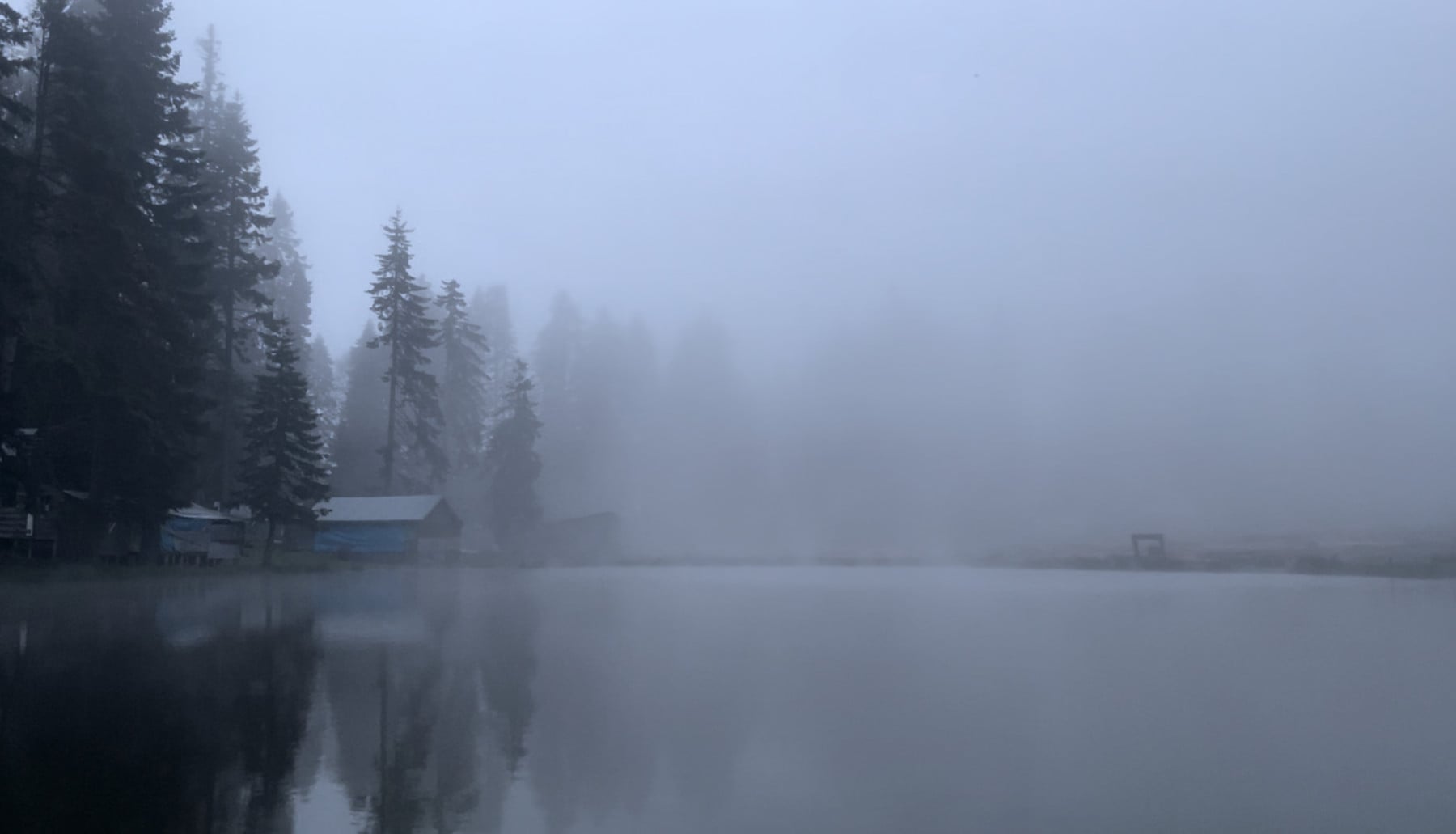 b0rnt0b3w1ld kapak fotoğrafı