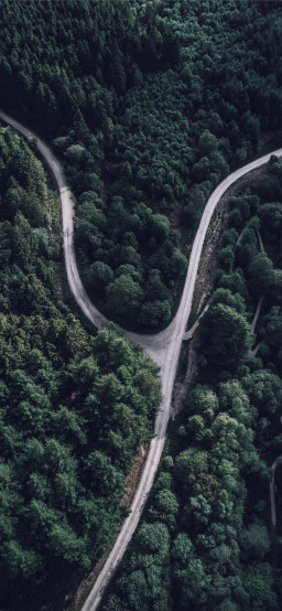 dor profil fotoğrafı