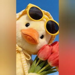 sevimlihortlakkespır profil fotoğrafı
