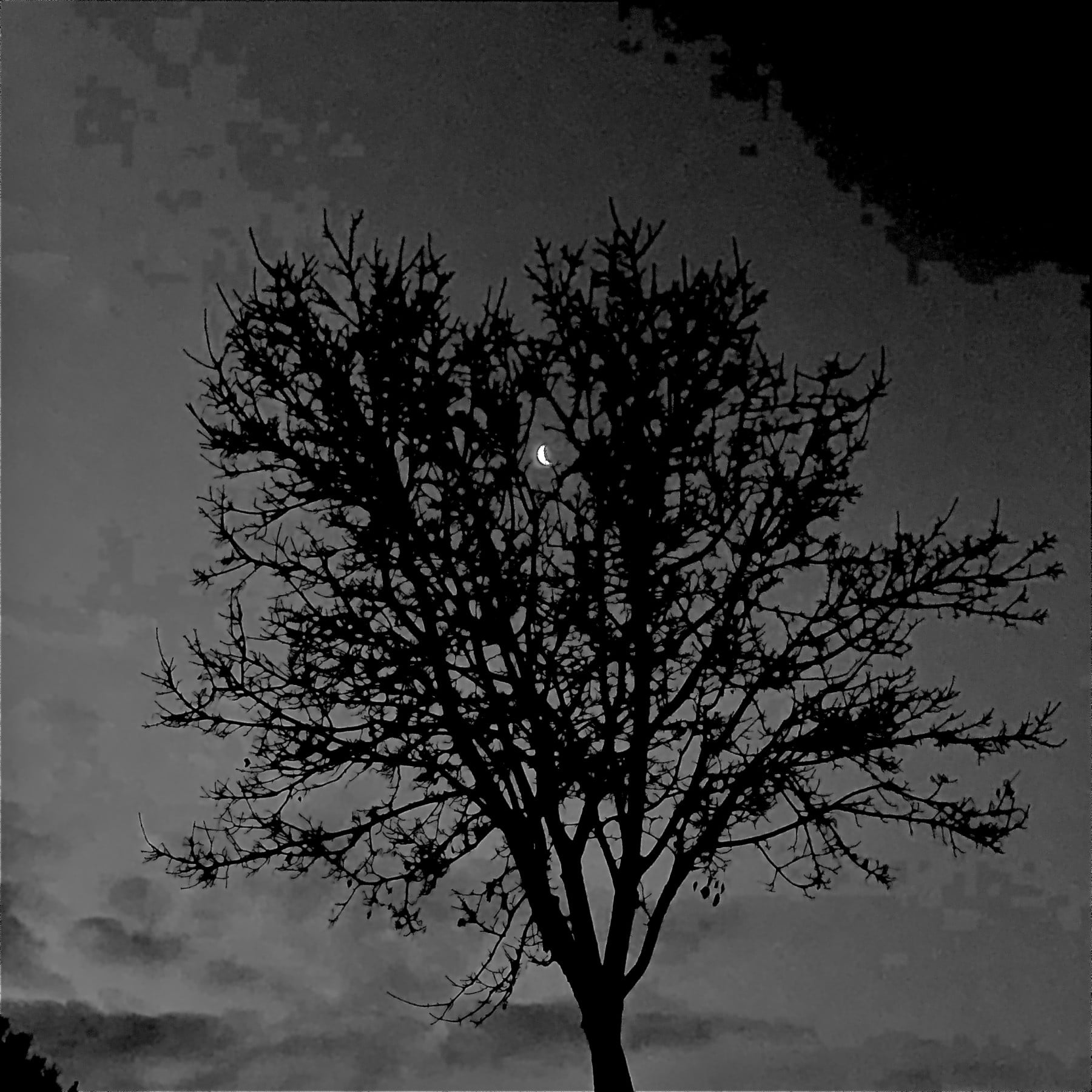 ölüm kapak fotoğrafı