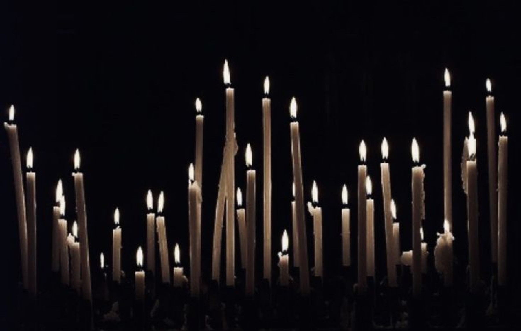 köletaciri kapak fotoğrafı