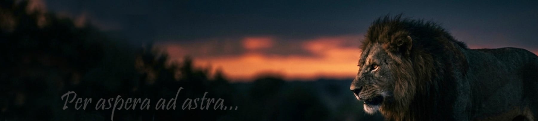 expecto kapak fotoğrafı