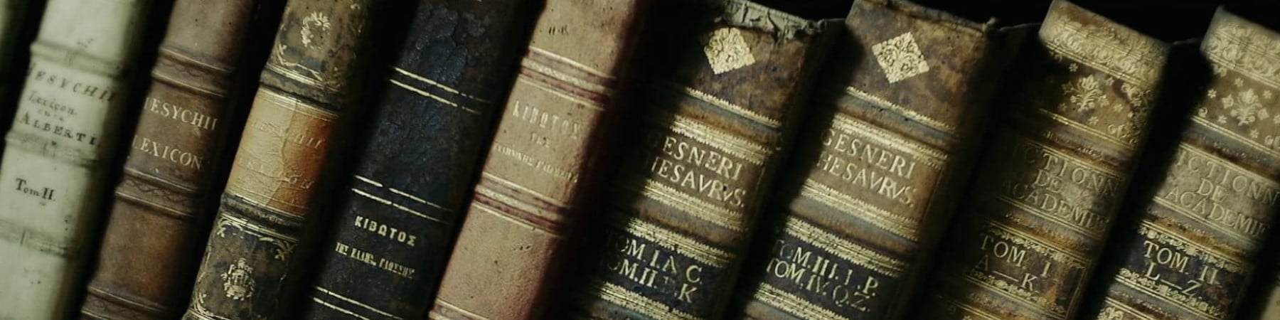 mavish kapak fotoğrafı