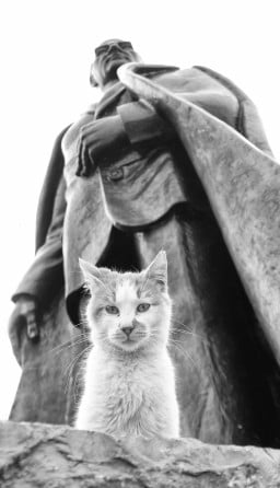 maksatmuhabbet profil fotoğrafı