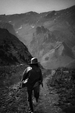 civilspideragi profil fotoğrafı