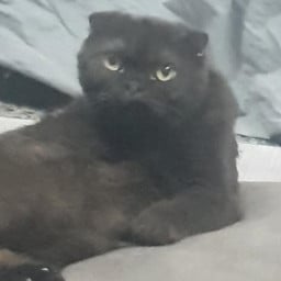 artus profil fotoğrafı