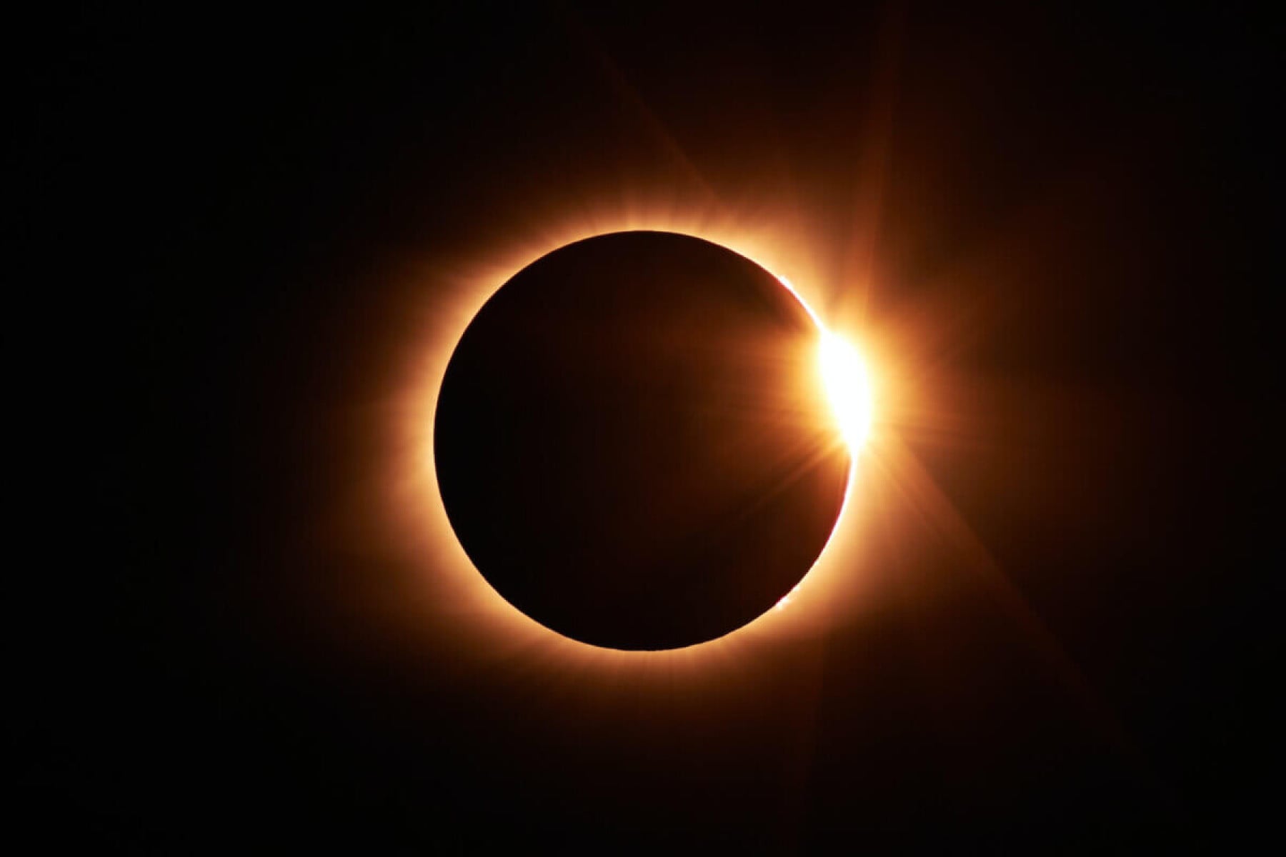 novus magister kapak fotoğrafı