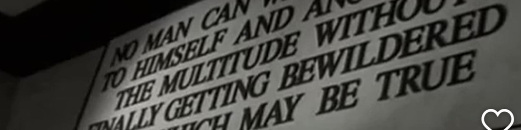 torino atı kapak fotoğrafı