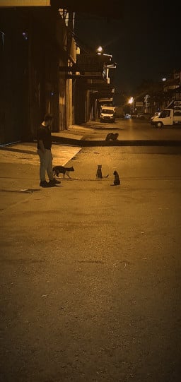 docendodiscitur profil fotoğrafı