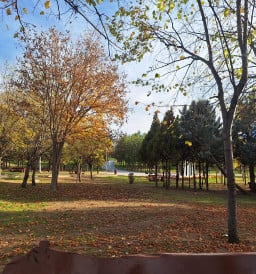 sirma profil fotoğrafı