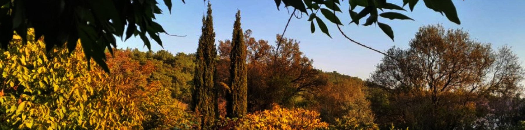 pictorem kapak fotoğrafı