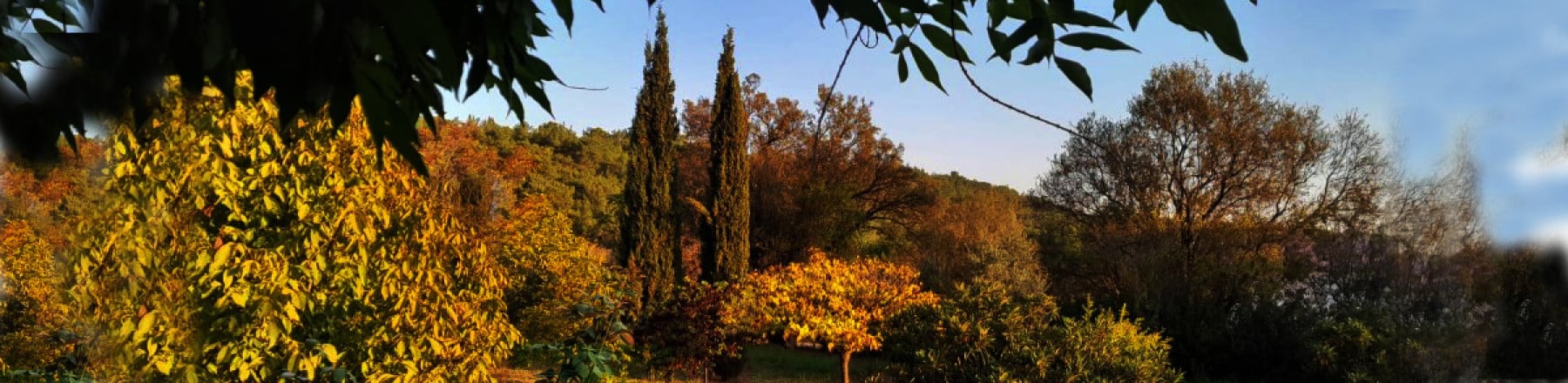 pictorem kapak fotoğrafı