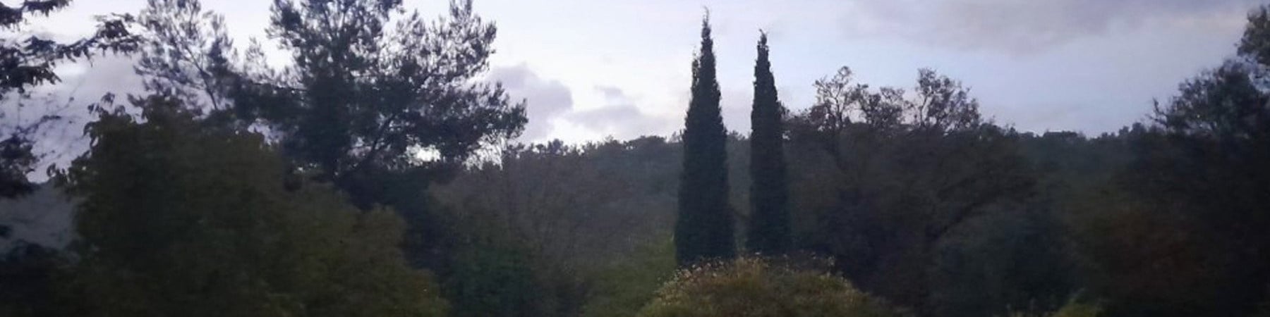 pictorem kapak fotoğrafı