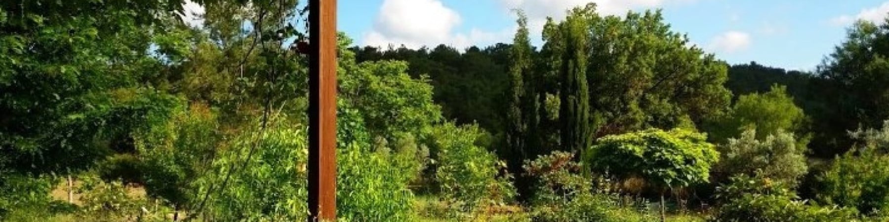 pictorem kapak fotoğrafı