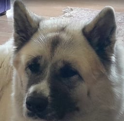 pictorem profil fotoğrafı