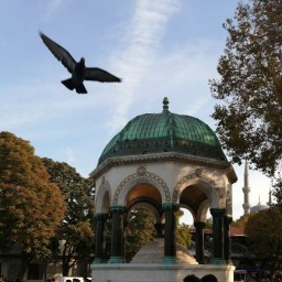 eniyisipencere profil fotoğrafı