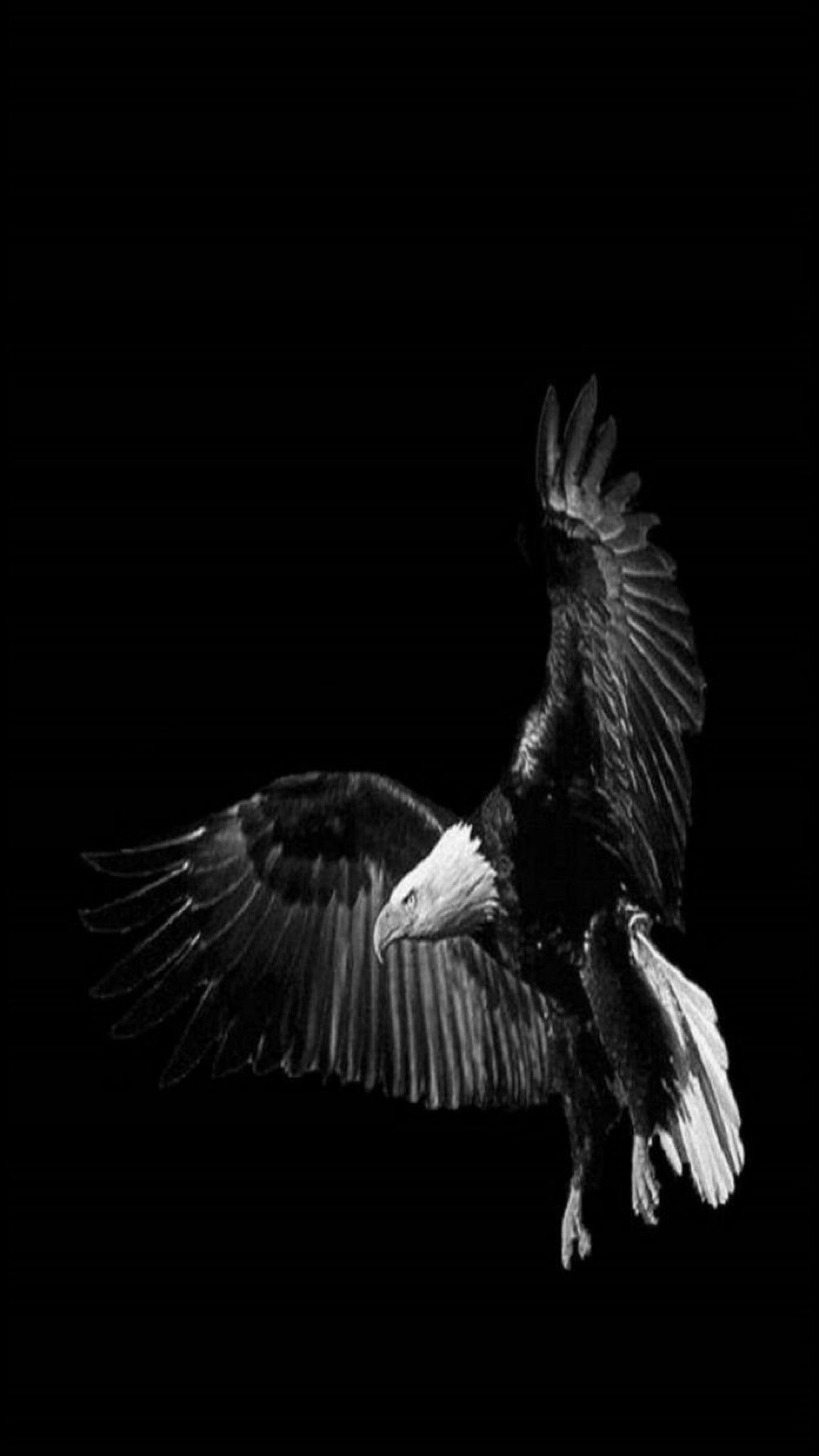 doplespoles kapak fotoğrafı