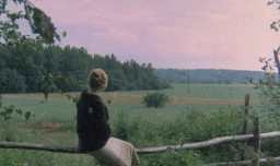 papildek profil fotoğrafı