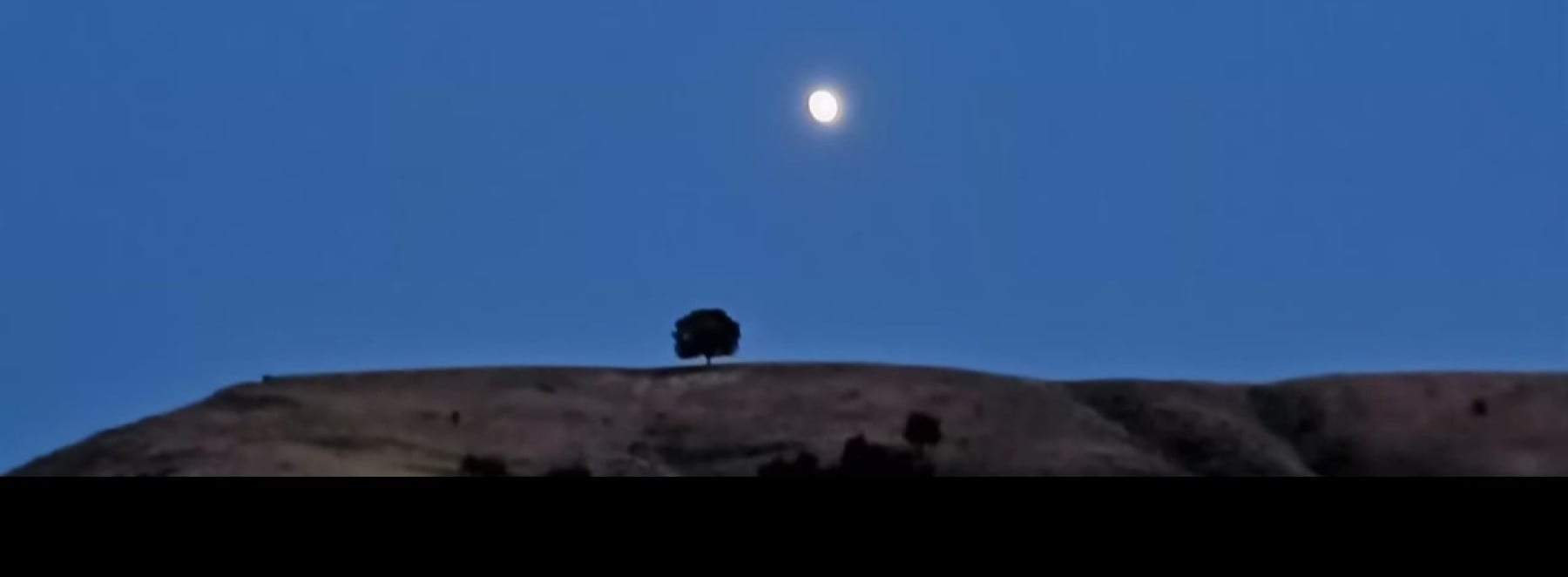 örnek vatandaş kapak fotoğrafı