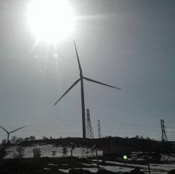 örnek vatandaş profil fotoğrafı