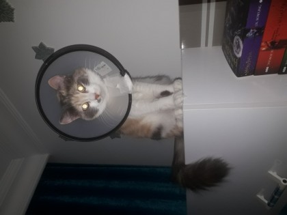 kullanıcı tarafından yüklenmiş görsel