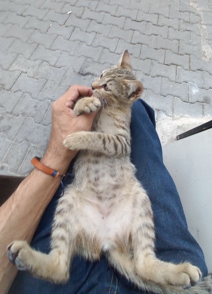 kullanıcı tarafından yüklenmiş görsel