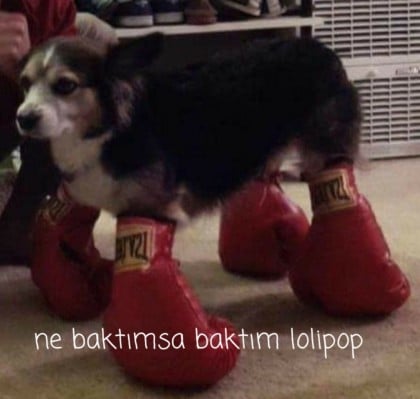 kullanıcı tarafından yüklenmiş görsel